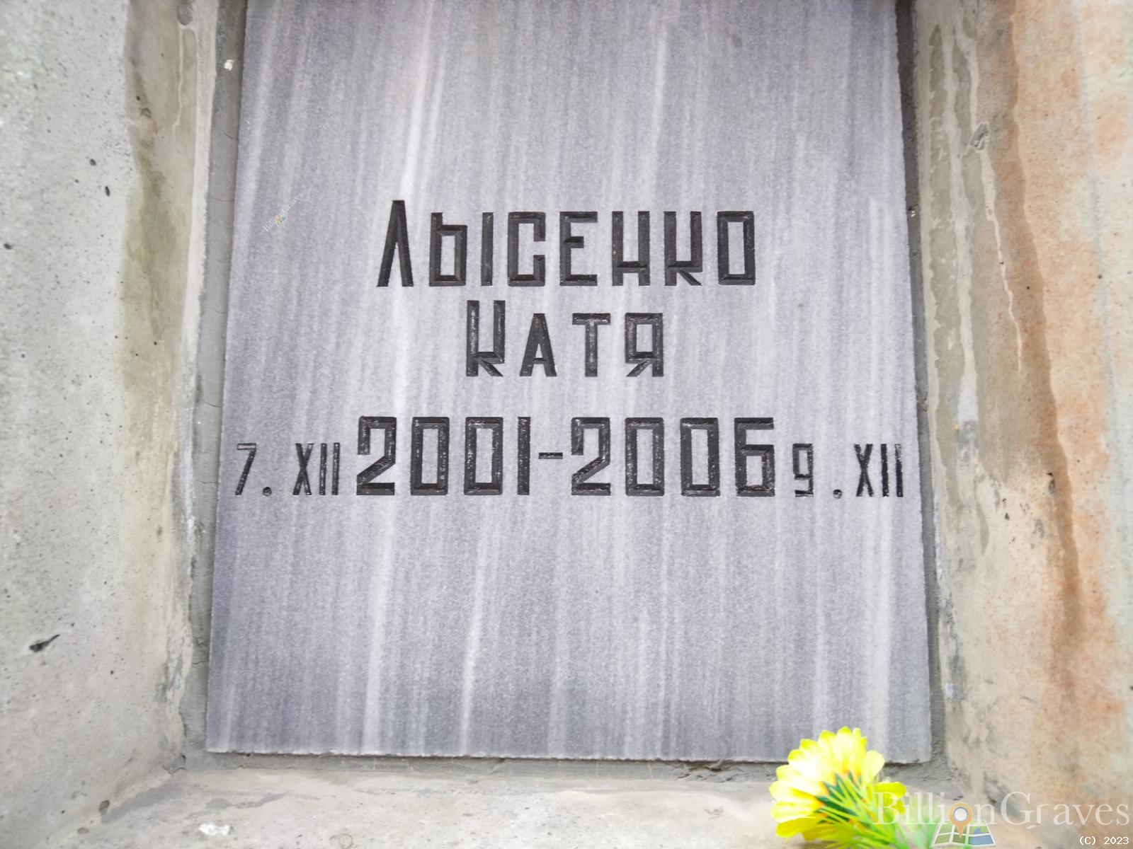 Лысенко Катя