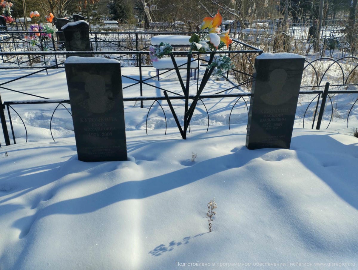 Курочкин Василий Васильевич
