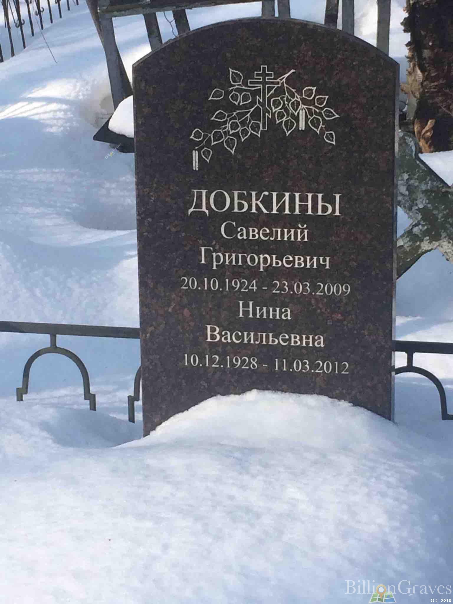 Добкин Савелий Григорьевич