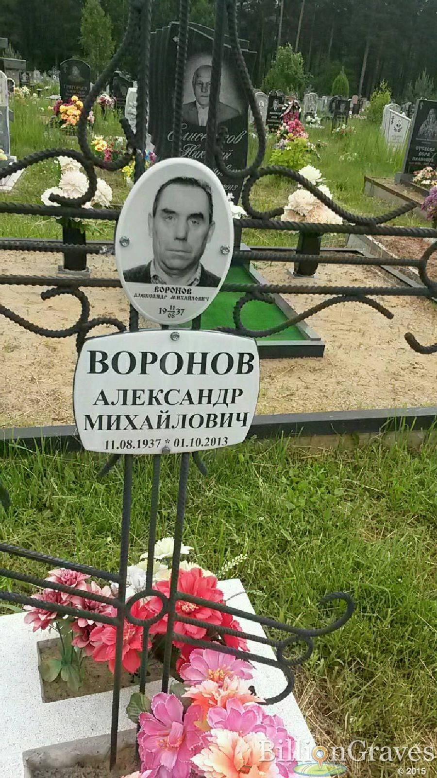 Воронов Александр Михайлович