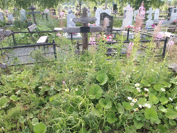 Полякова Вера Николаевна