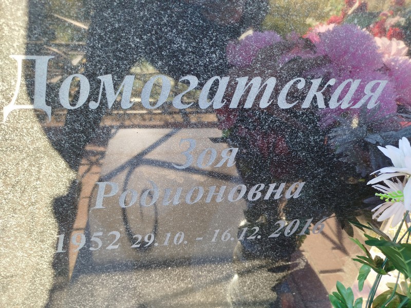 Домогатская