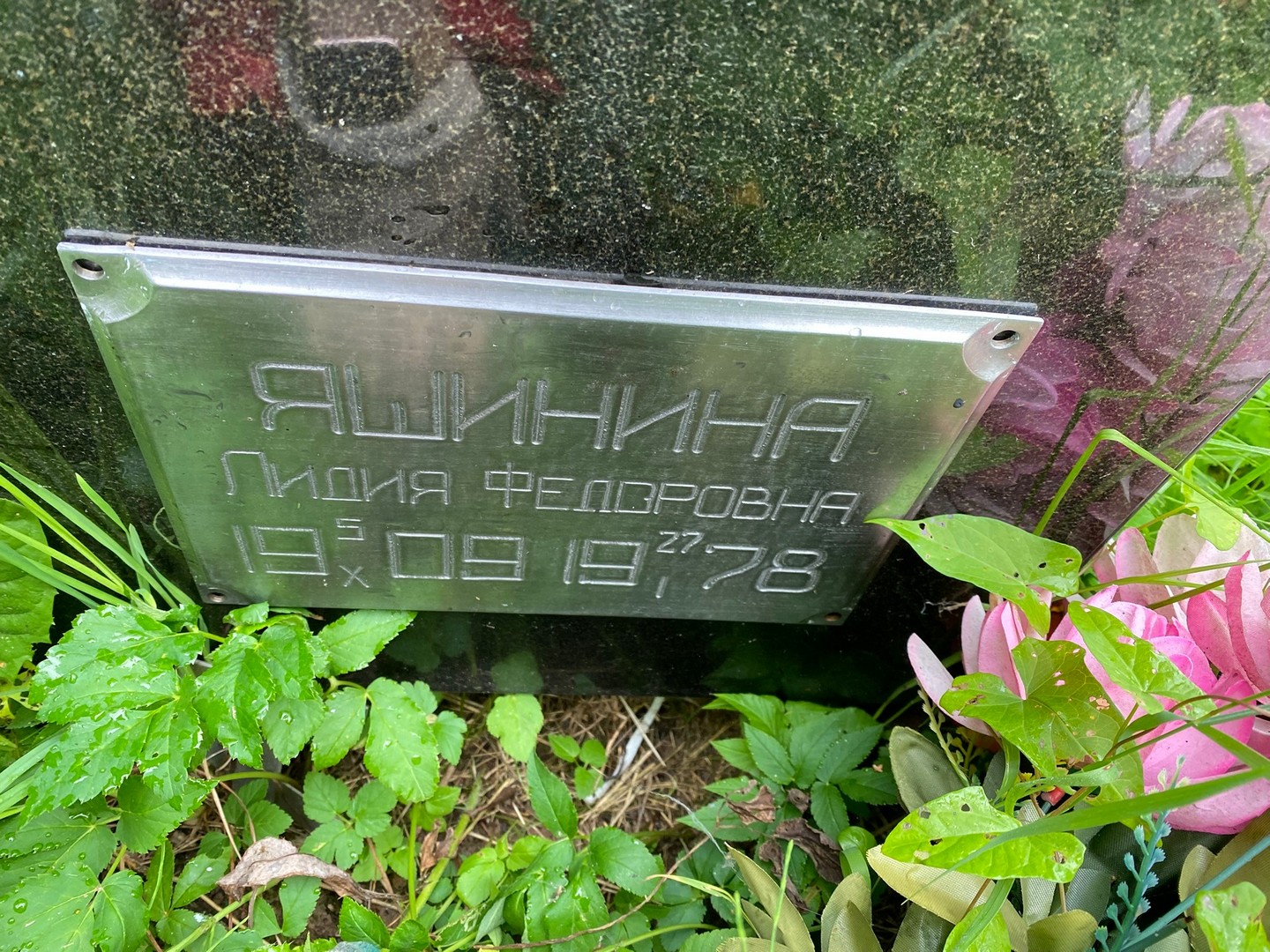 Яшнина