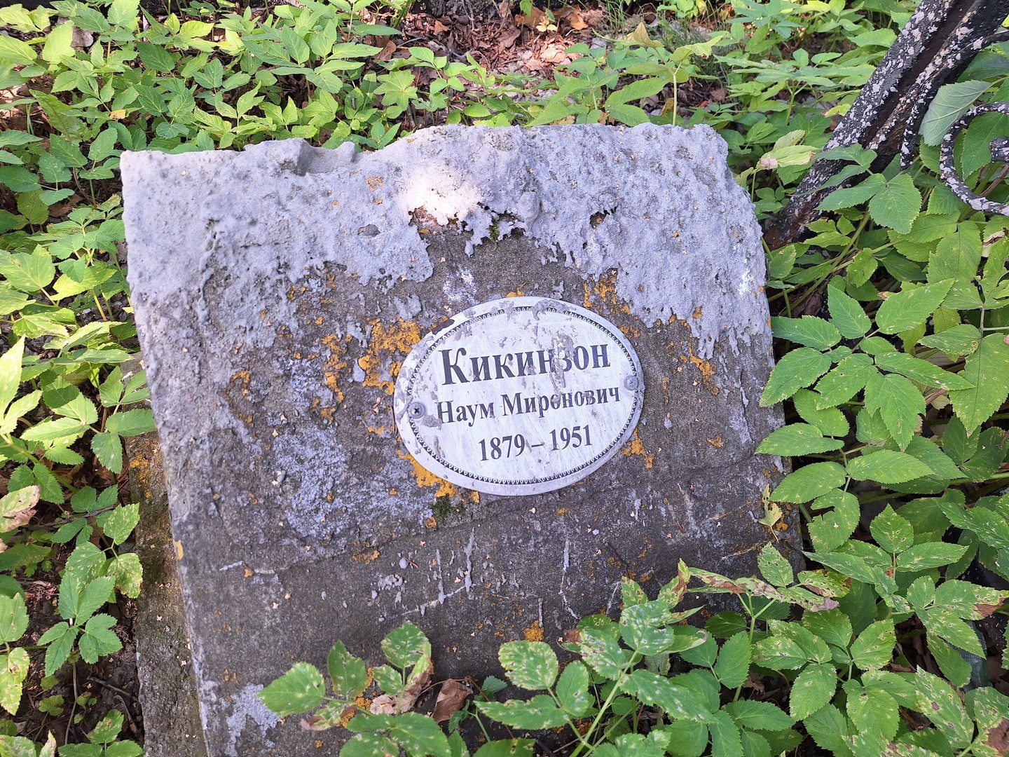 Наум Кикинзон Миронович