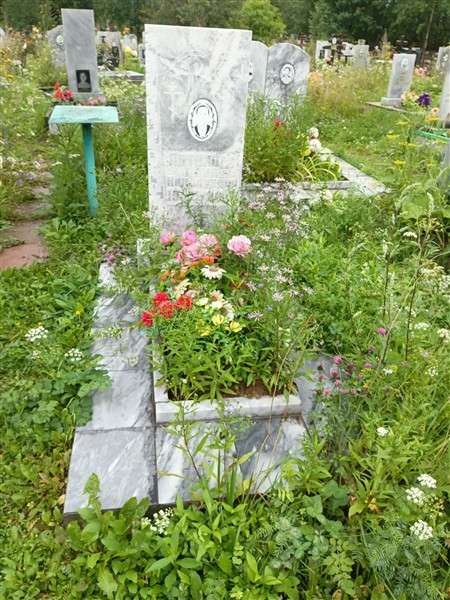 Антонова Анна Николаевна