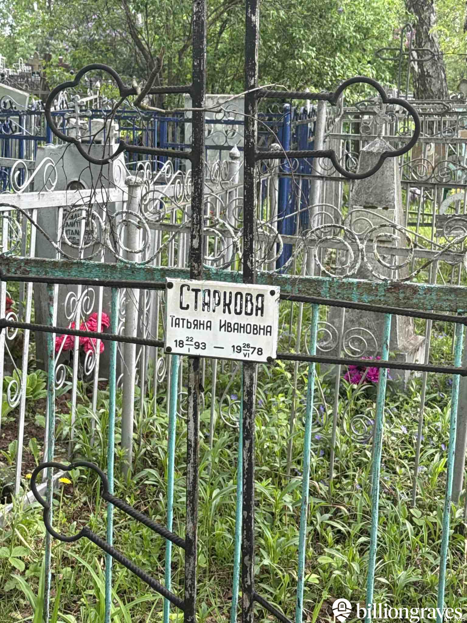 Старкова Татьяна Ивановна