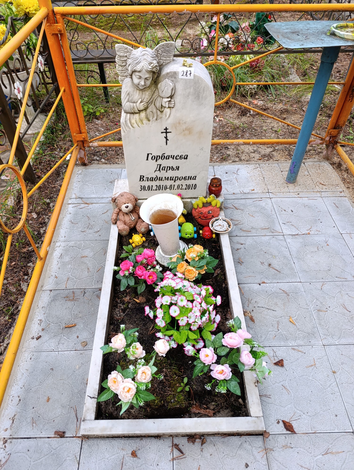 Горбачева Дарья Владимировна