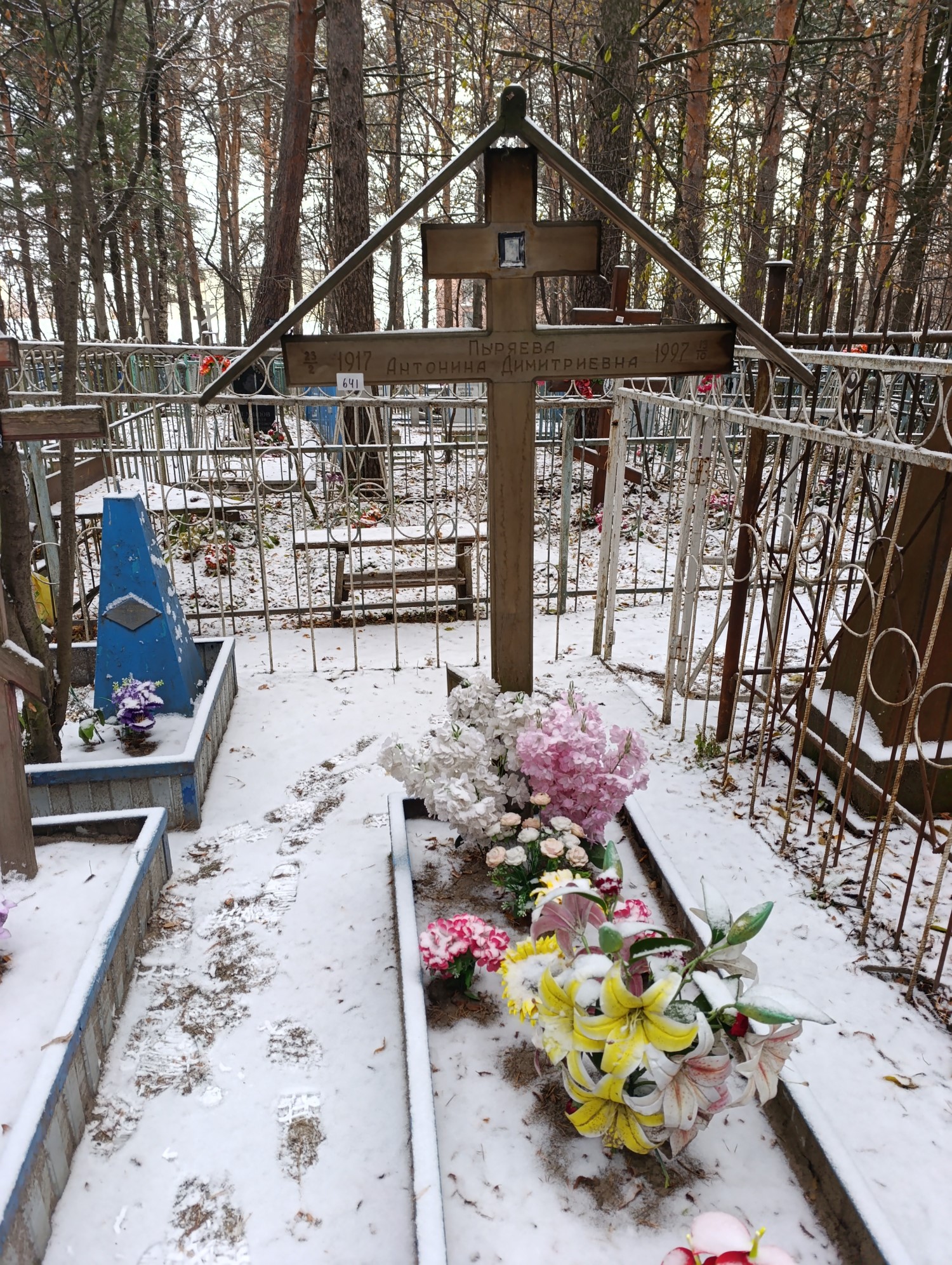 Пыряева Антонина Димитровна