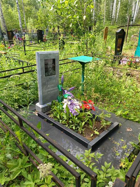 Бадгеев Наиль Нуретдинович