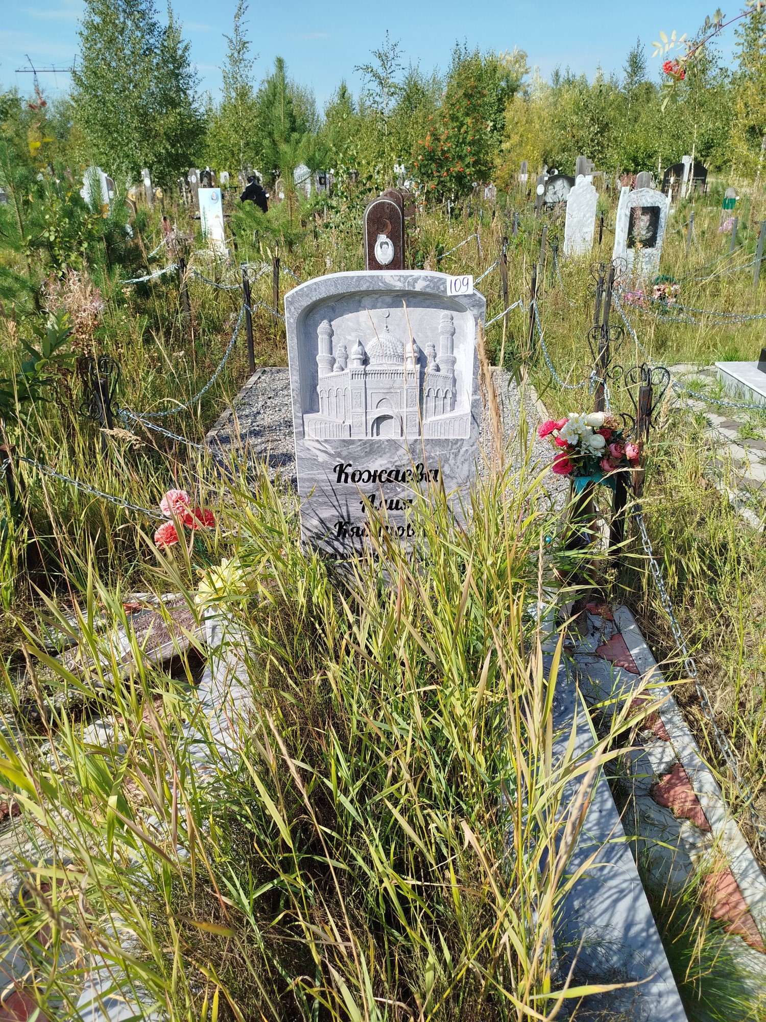 Кожаева Алия Кябировна