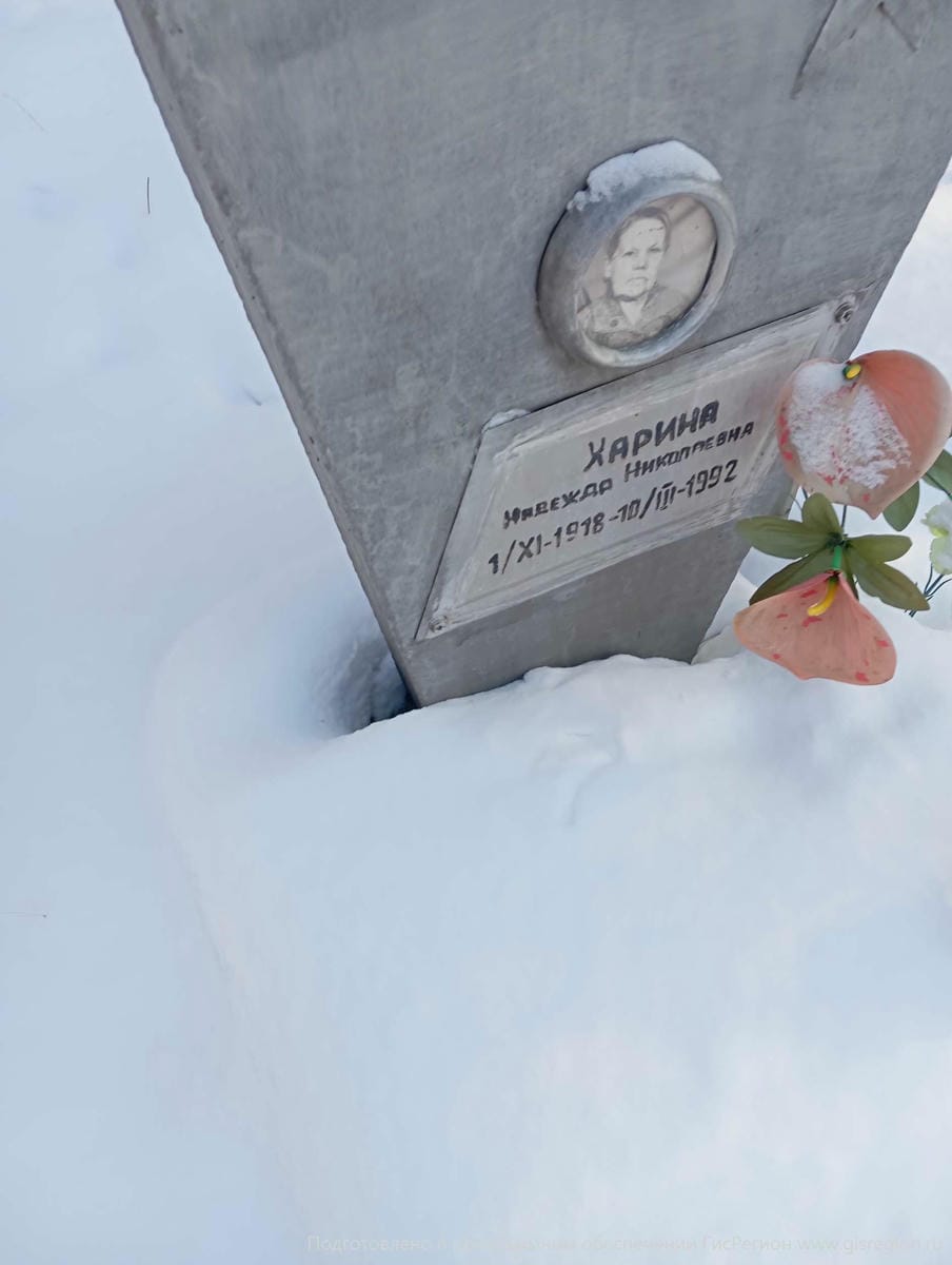 Харина Надежда Николаевна