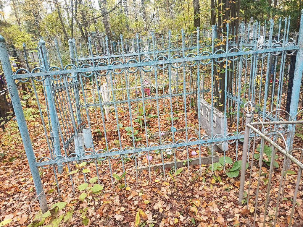 Котов Роман Николаевич
