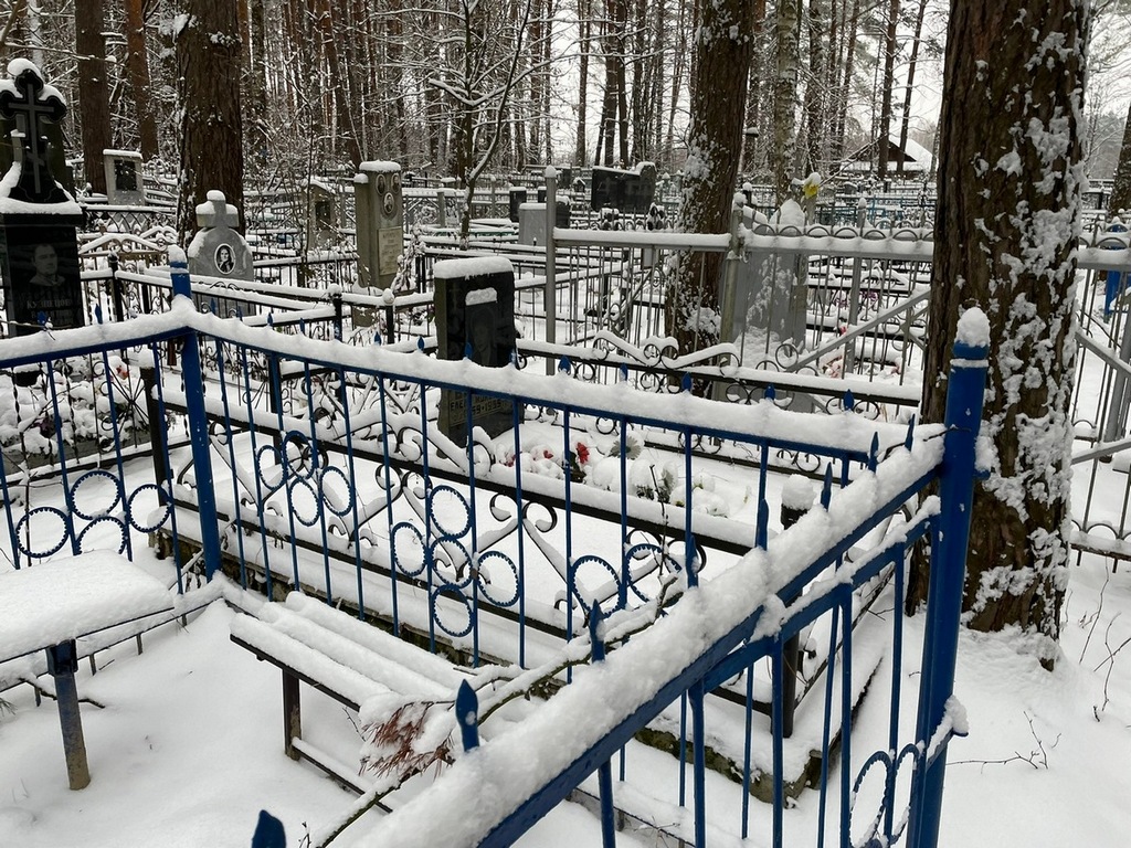 Барабаш Елена Моисеевна