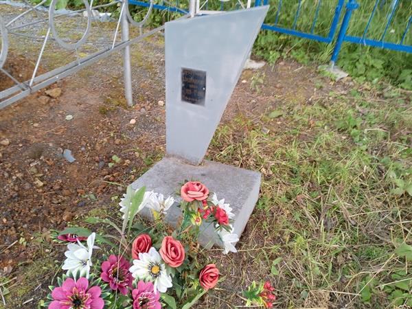 Владимирова Нина