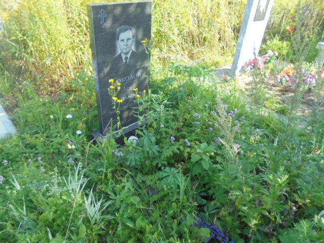 Соколов Лев Васильевич