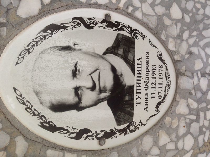Тупицина