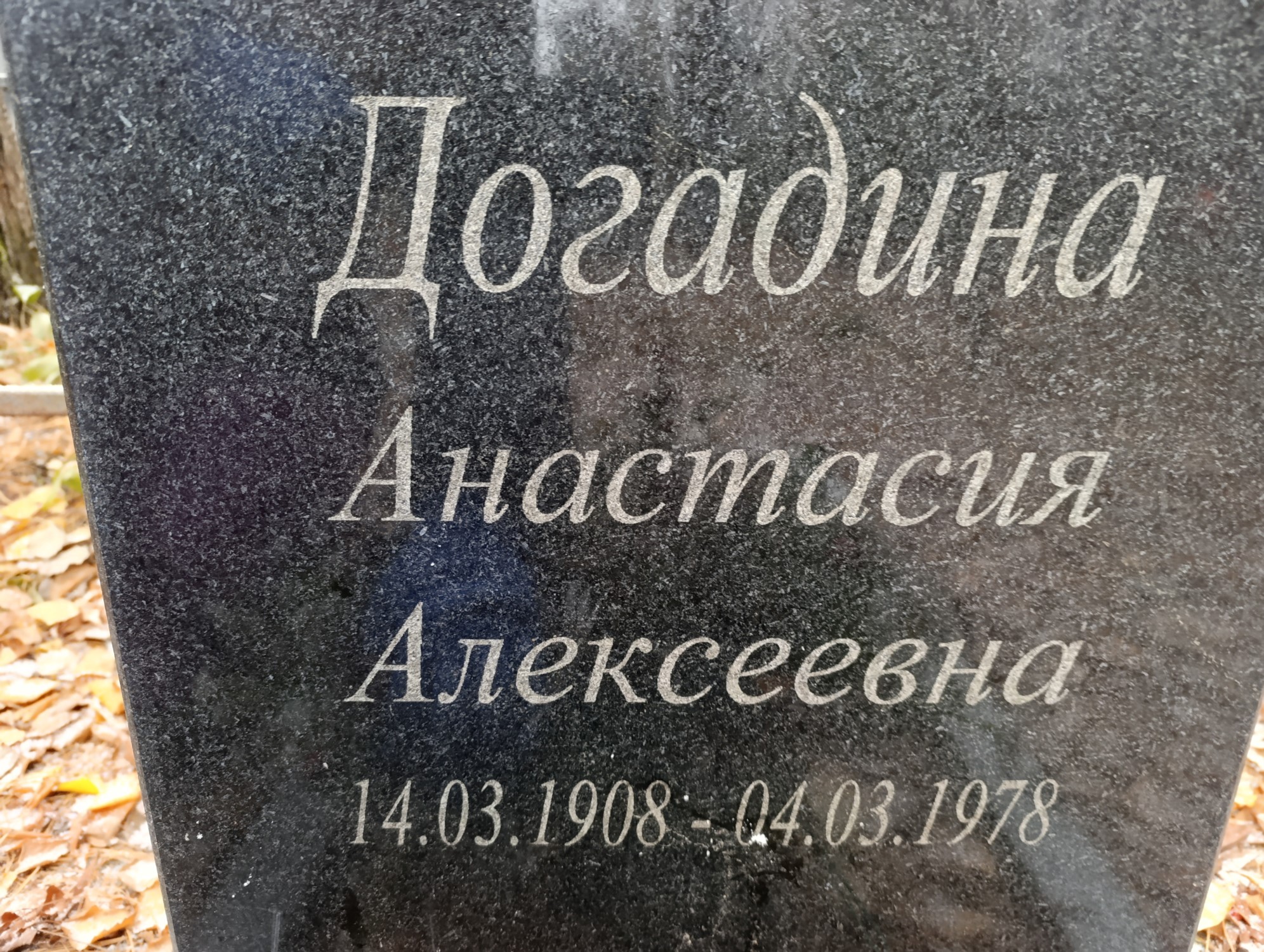 Догадина Анастасия Алексеевна