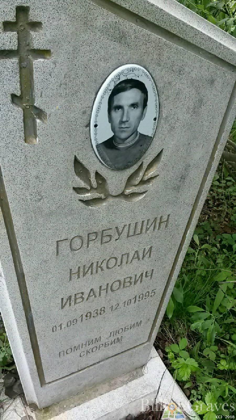 Горбушин Николай Иванович