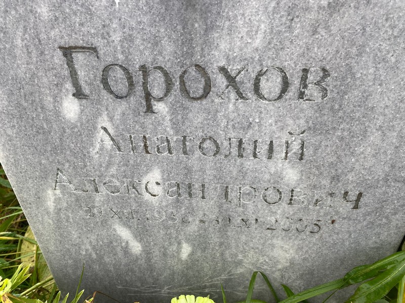 Горохов