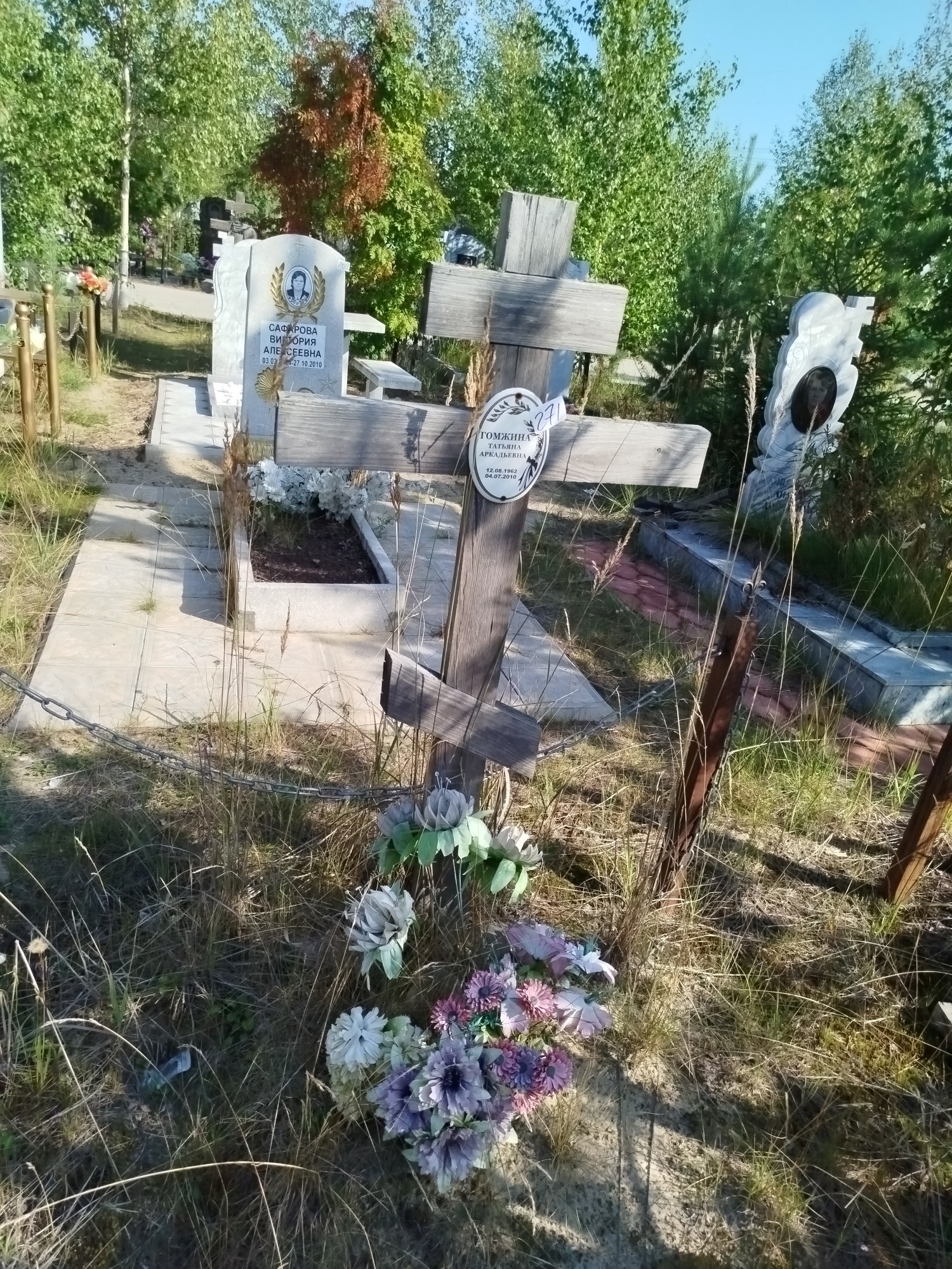 Гомжина Татьяна Аркадьевна