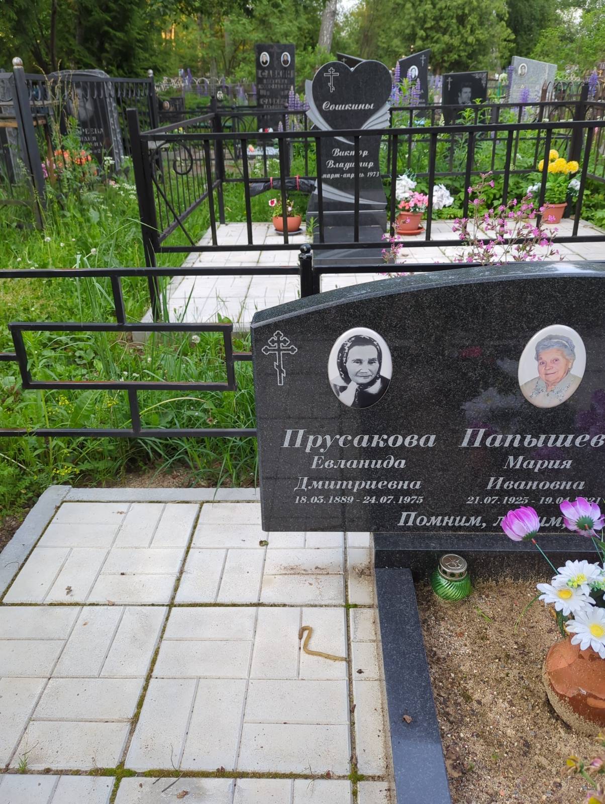 Прусакова Евланида Дмитриевна