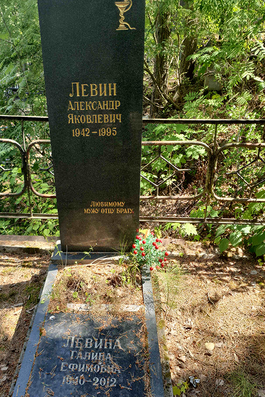 Левин Александр Яковлевич
