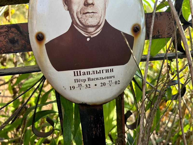 Шаплыгин