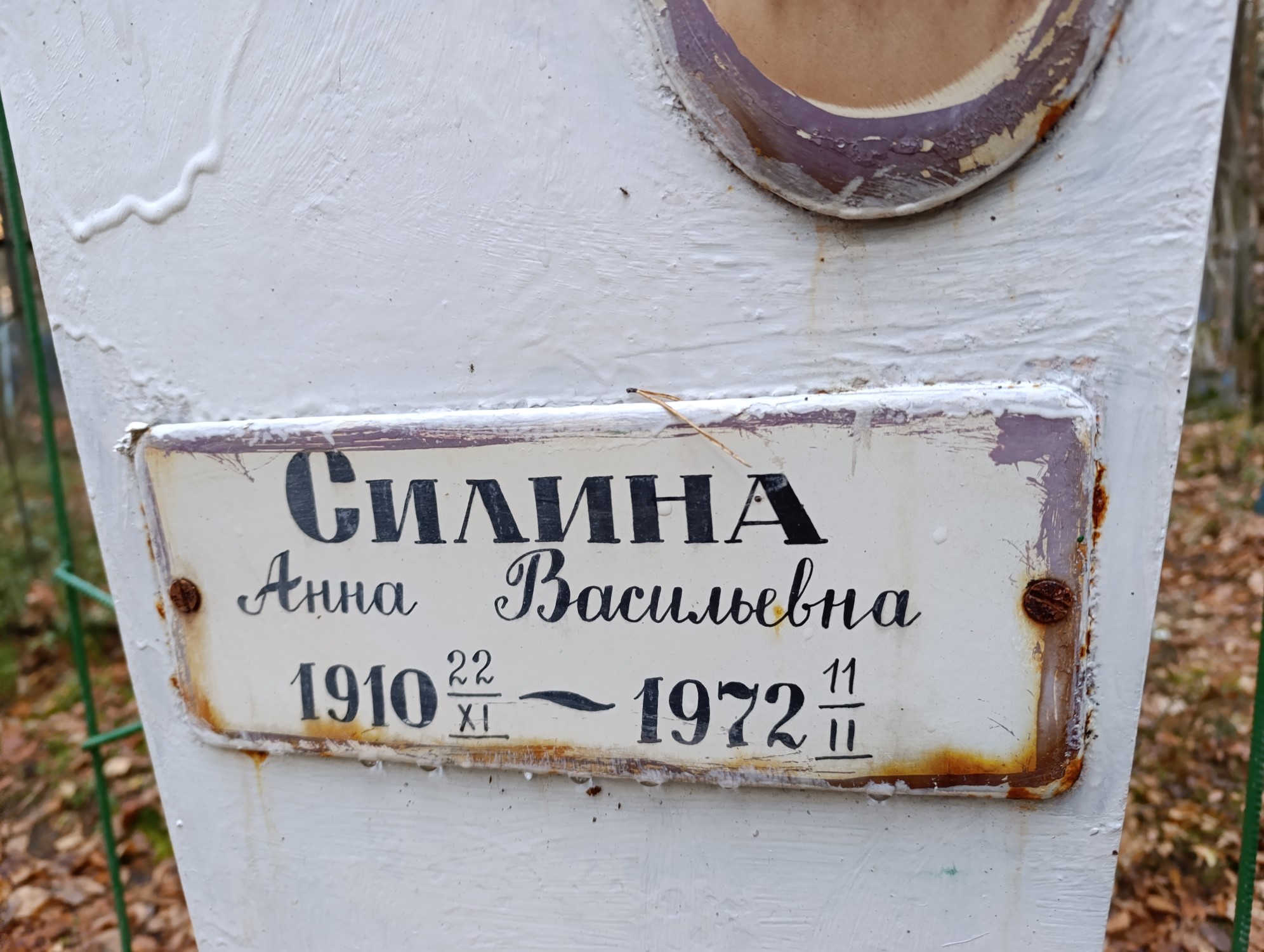 Силина Анна Васильевна