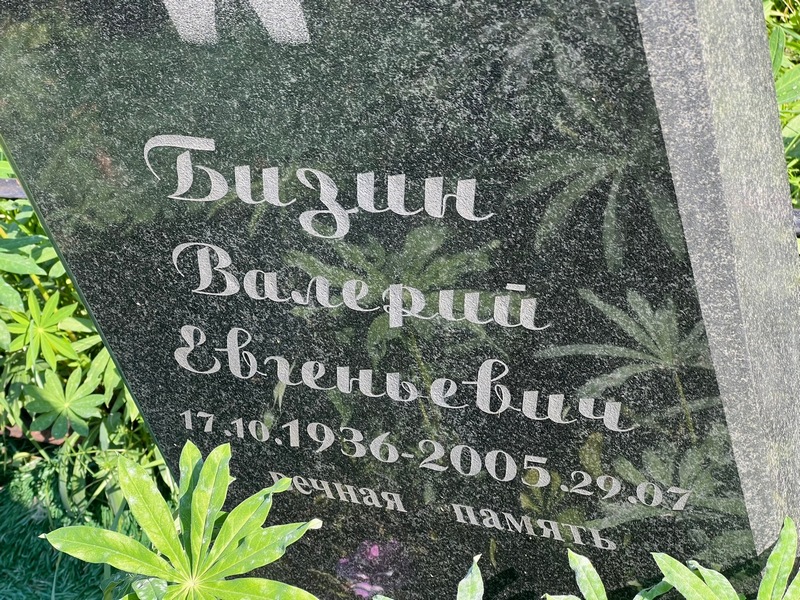 Бизин