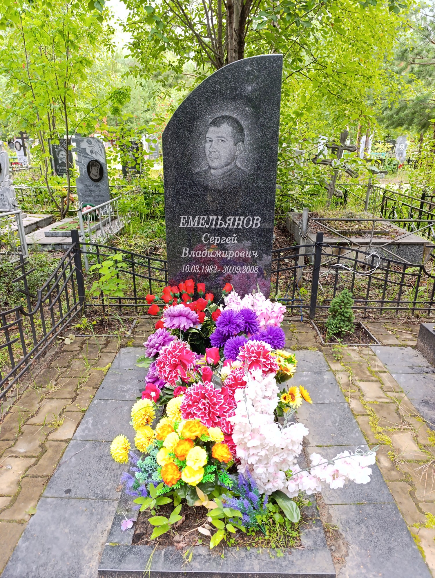 Емельянов Сергей Владимирович