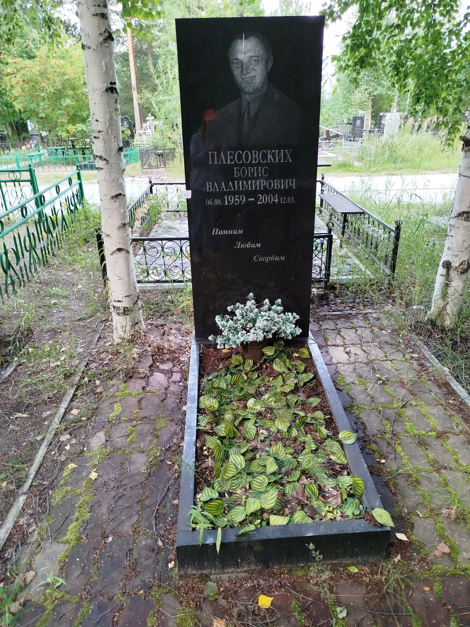 Плесовских Борис Владимирович