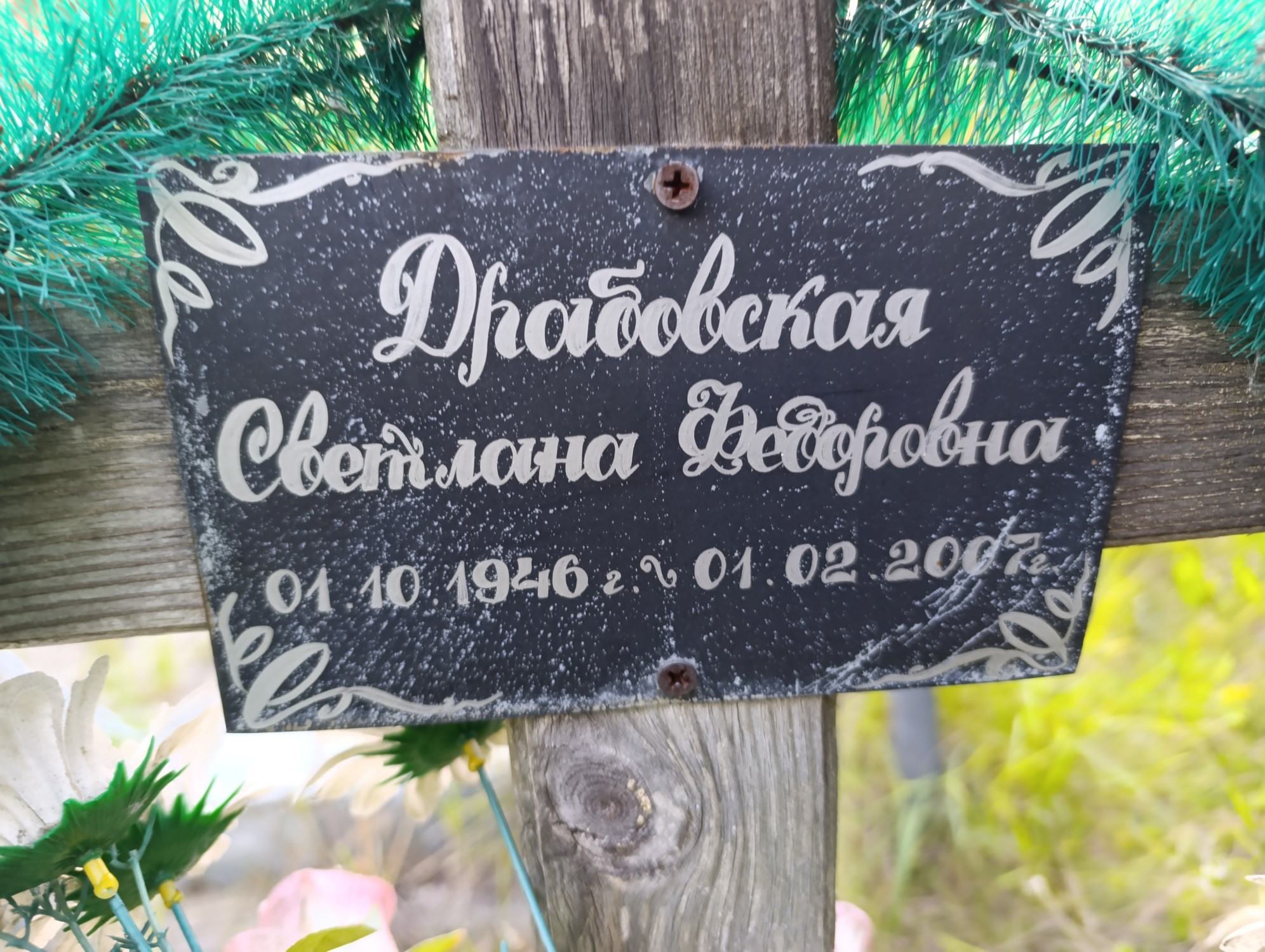 Драбовская Светлана Федоровна