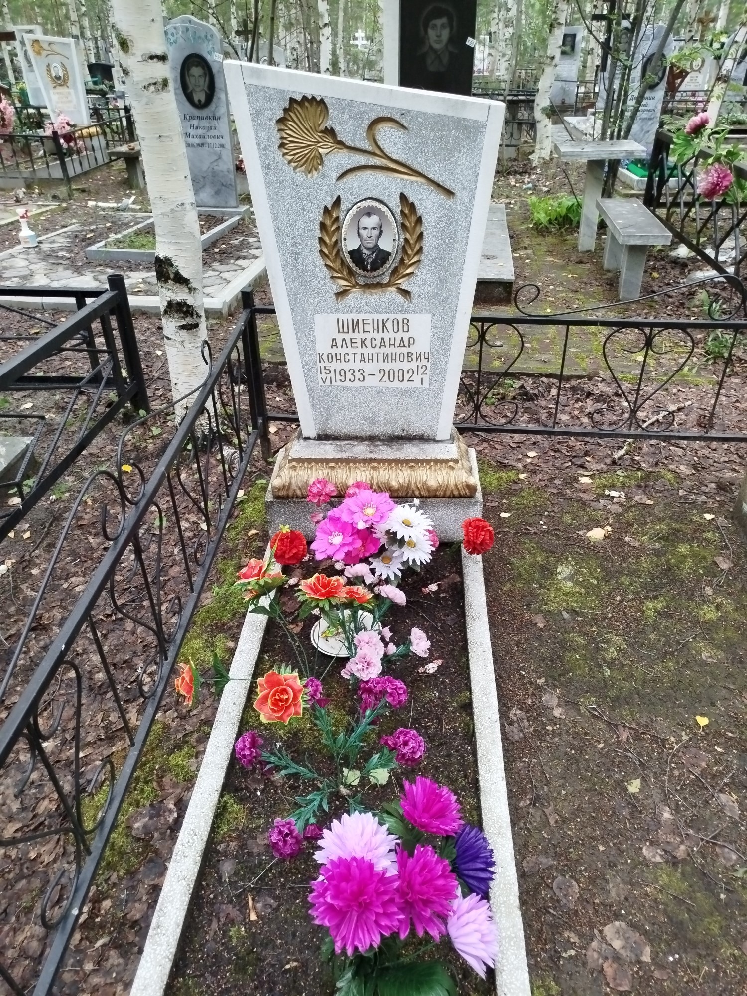 Шиенков Александр Константинович