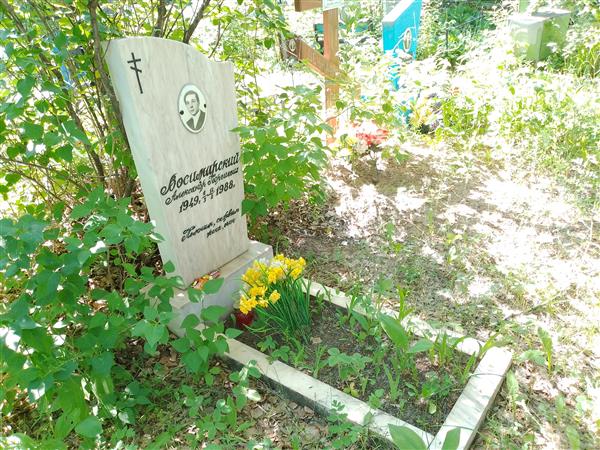 Восимирский Александр Георгиевич