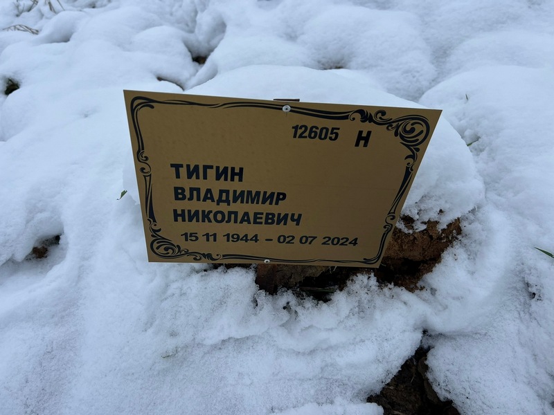 Тигин