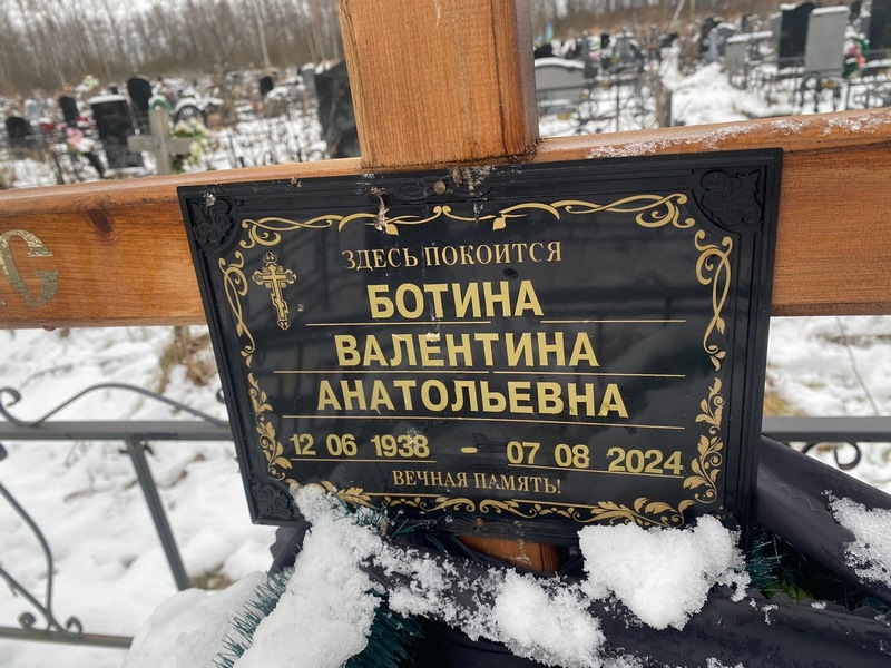 Ботина