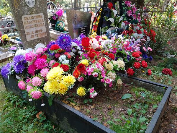 Зелютина Валентина Андреевна