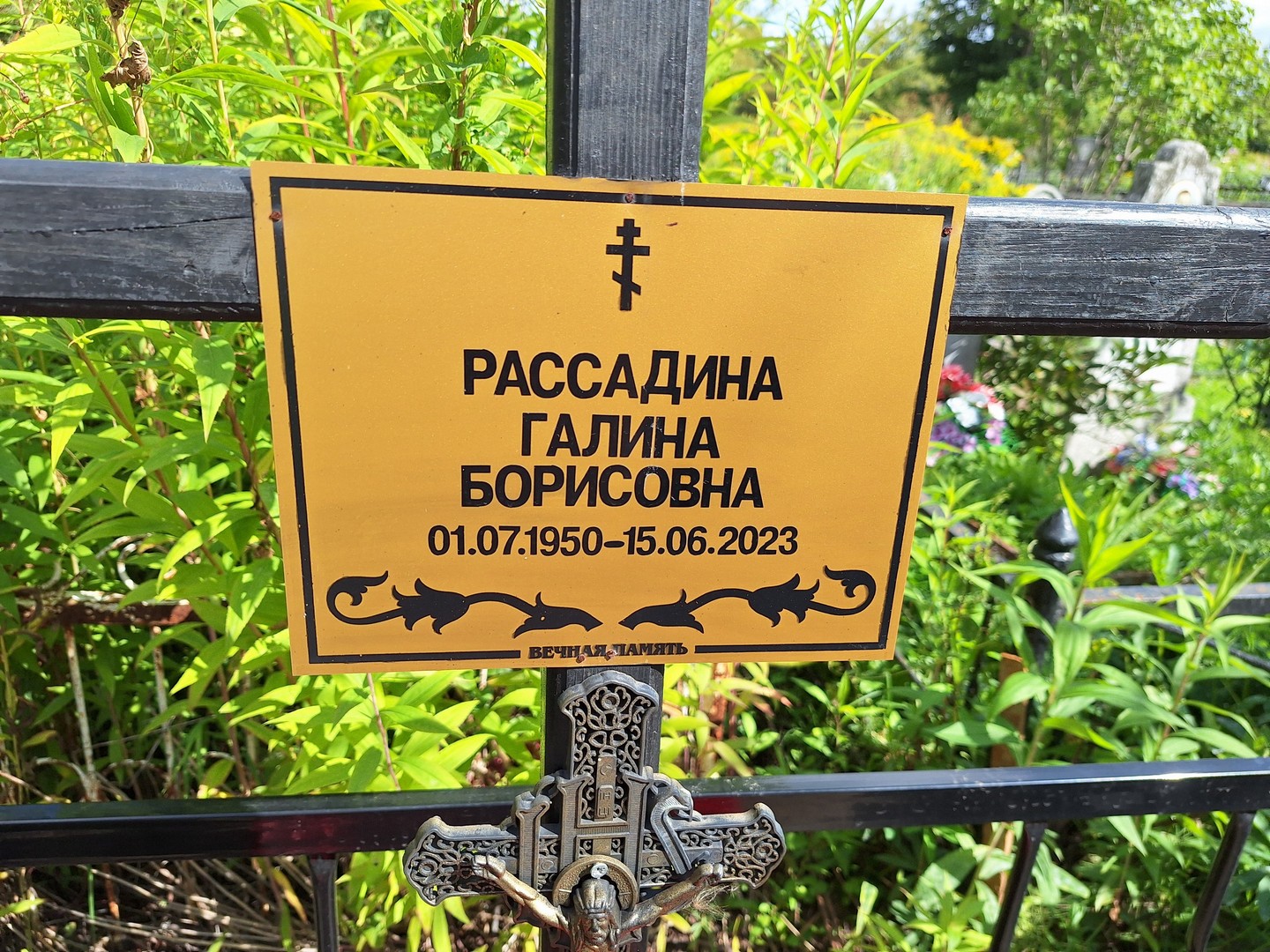 Рассадина