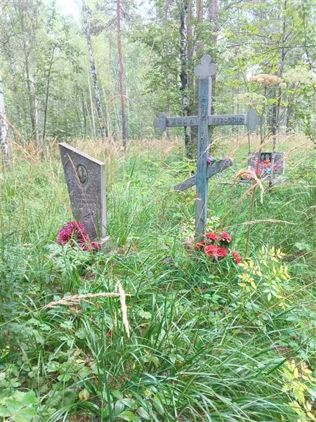 Ворончихин Дмитрий