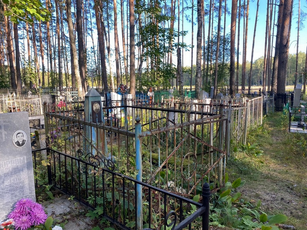 Воронов Анатолий Константинович