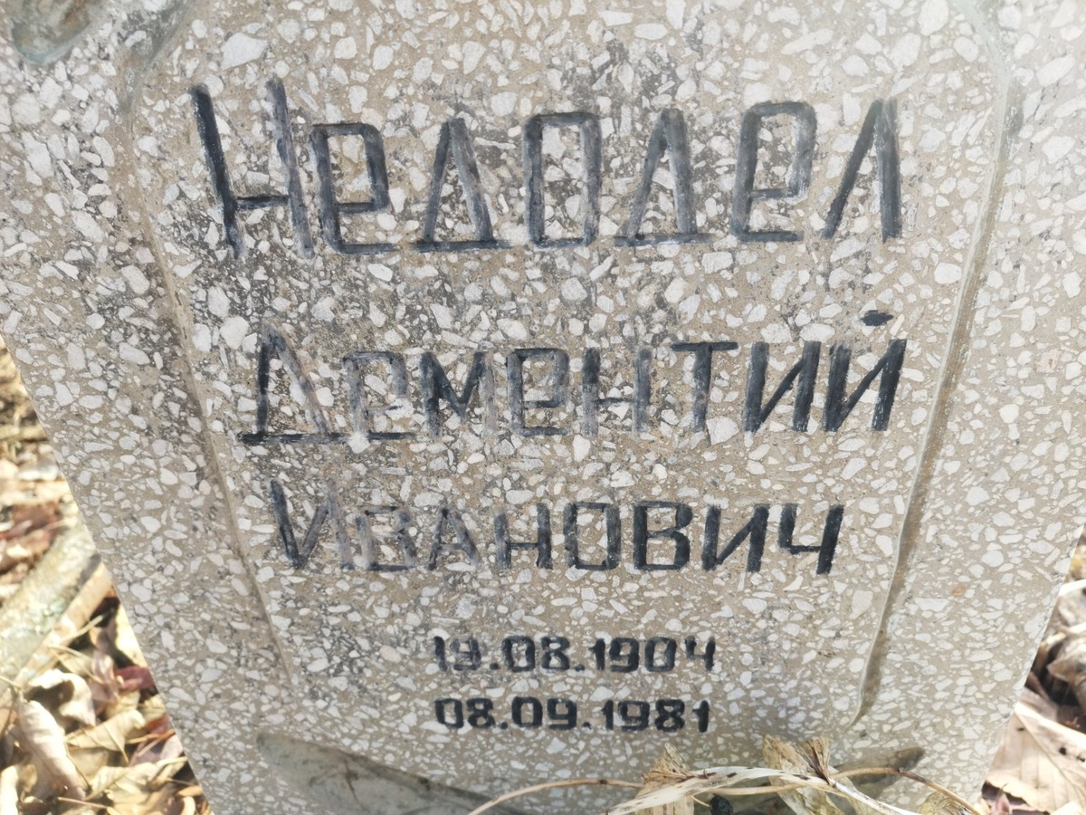 Недодел Дементий Иванович