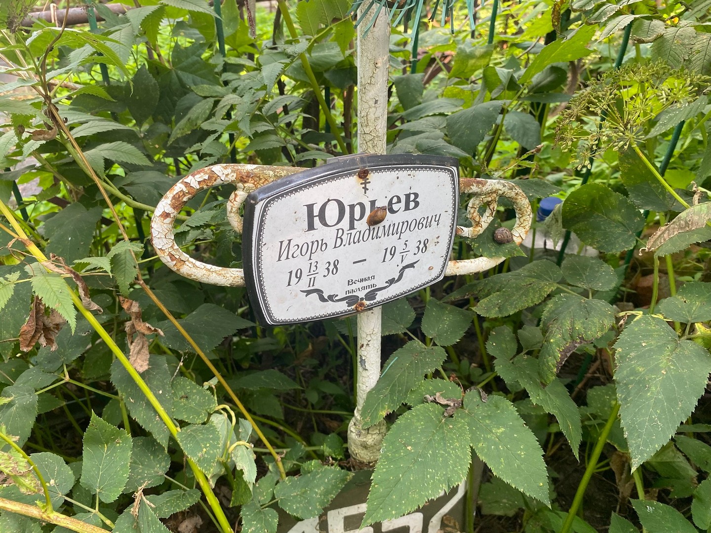 Юрьев