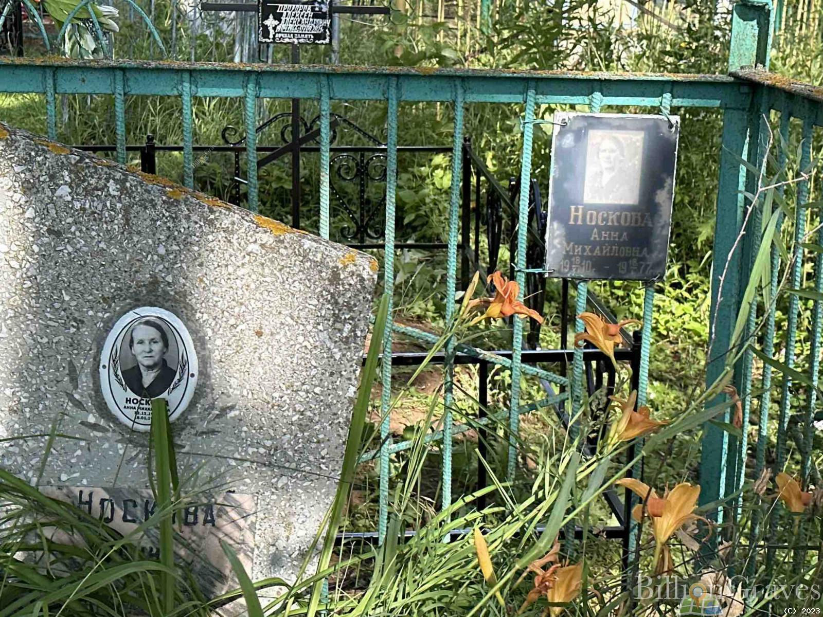 Носкова Анна Михайловна