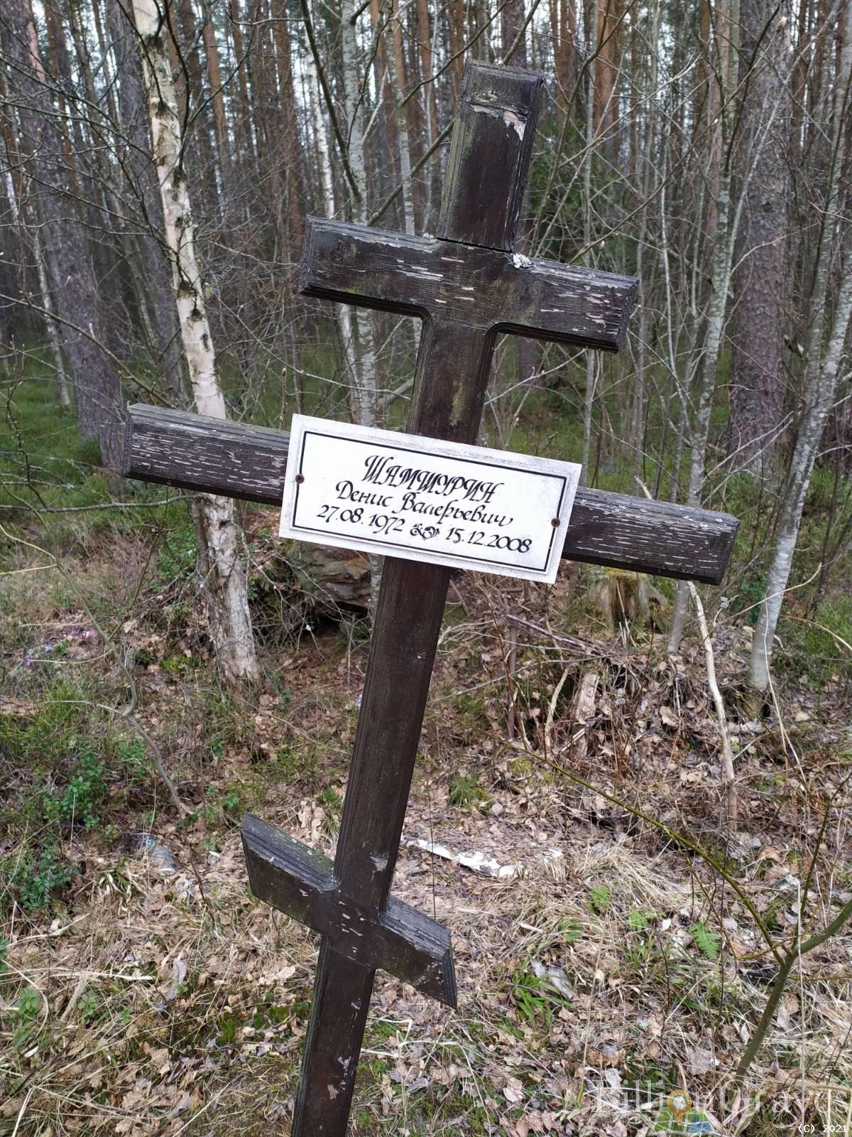 Шамшурин Денис Валерьевич