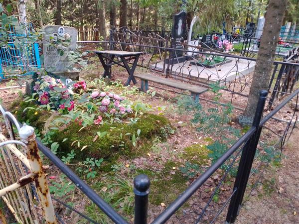 Балина Жанна Павловна