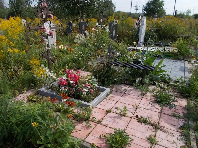 Репин Николай Петрович