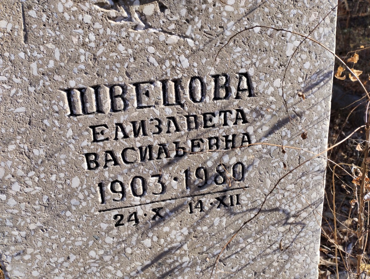 Швецова Елизавета Васильевна