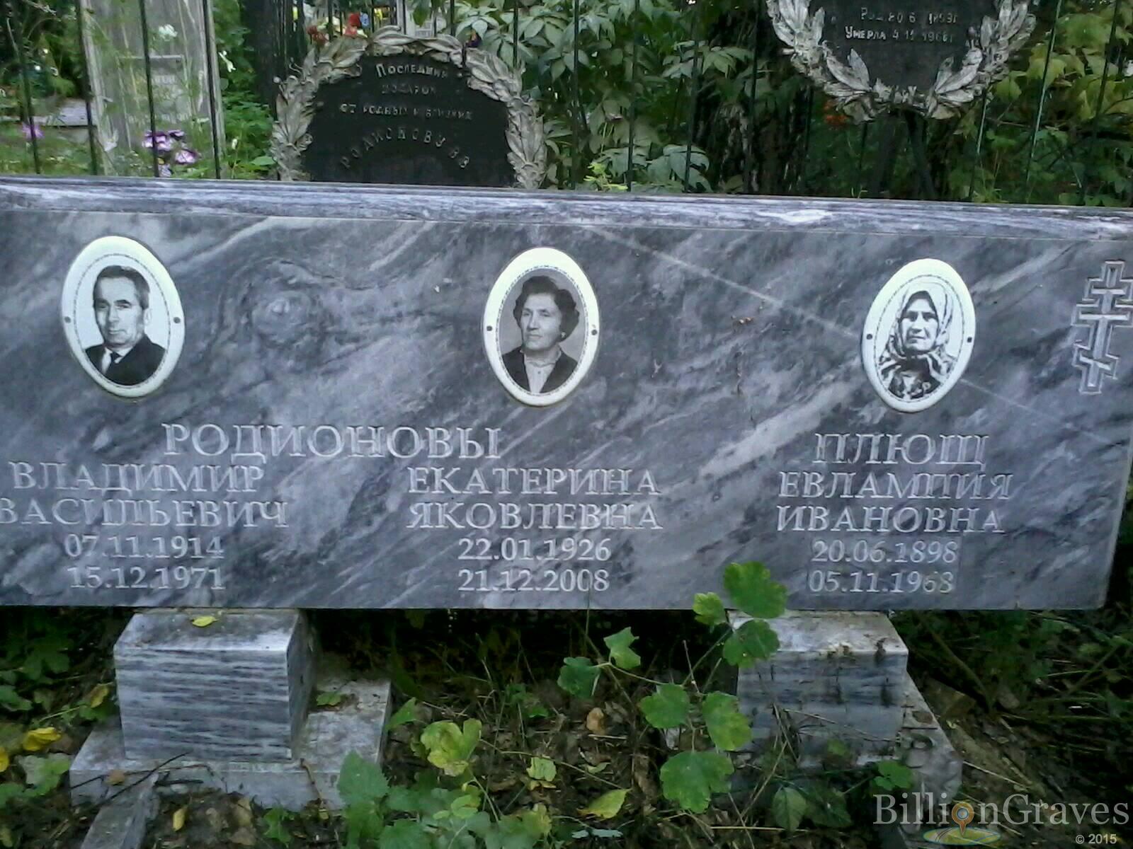 Плющ евлампия ивановна