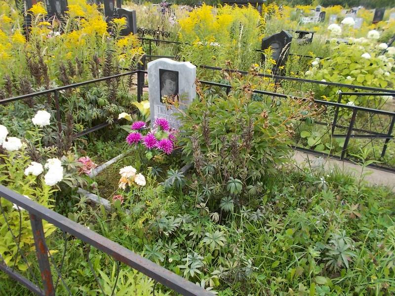 Тиньгаев Александр Николаевич