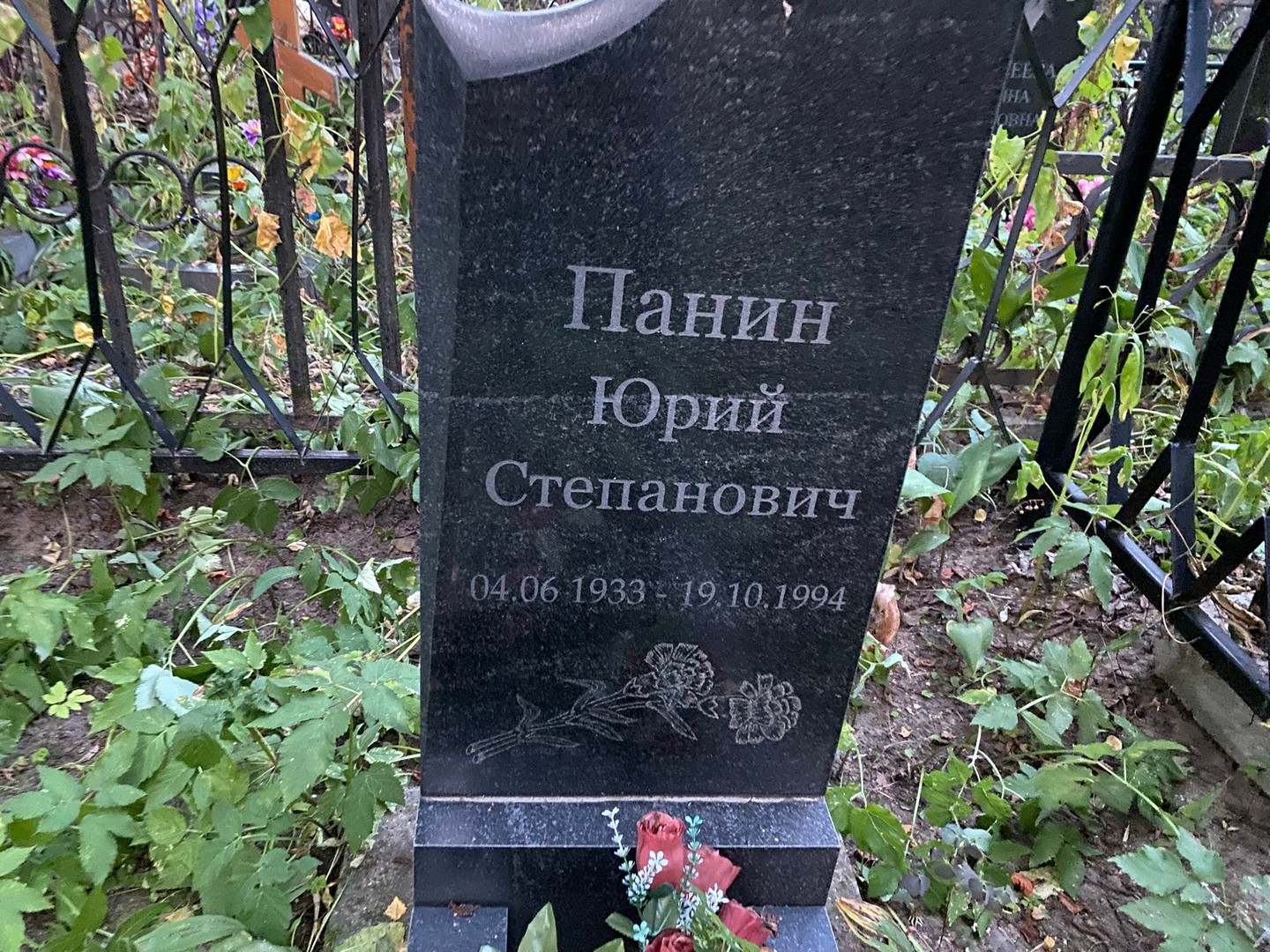 Панин